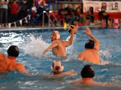 Valis domaćin Crvenoj Zvezdi – Sport014.rs Valis domaćin Crvenoj Zvezdi - Objektiva